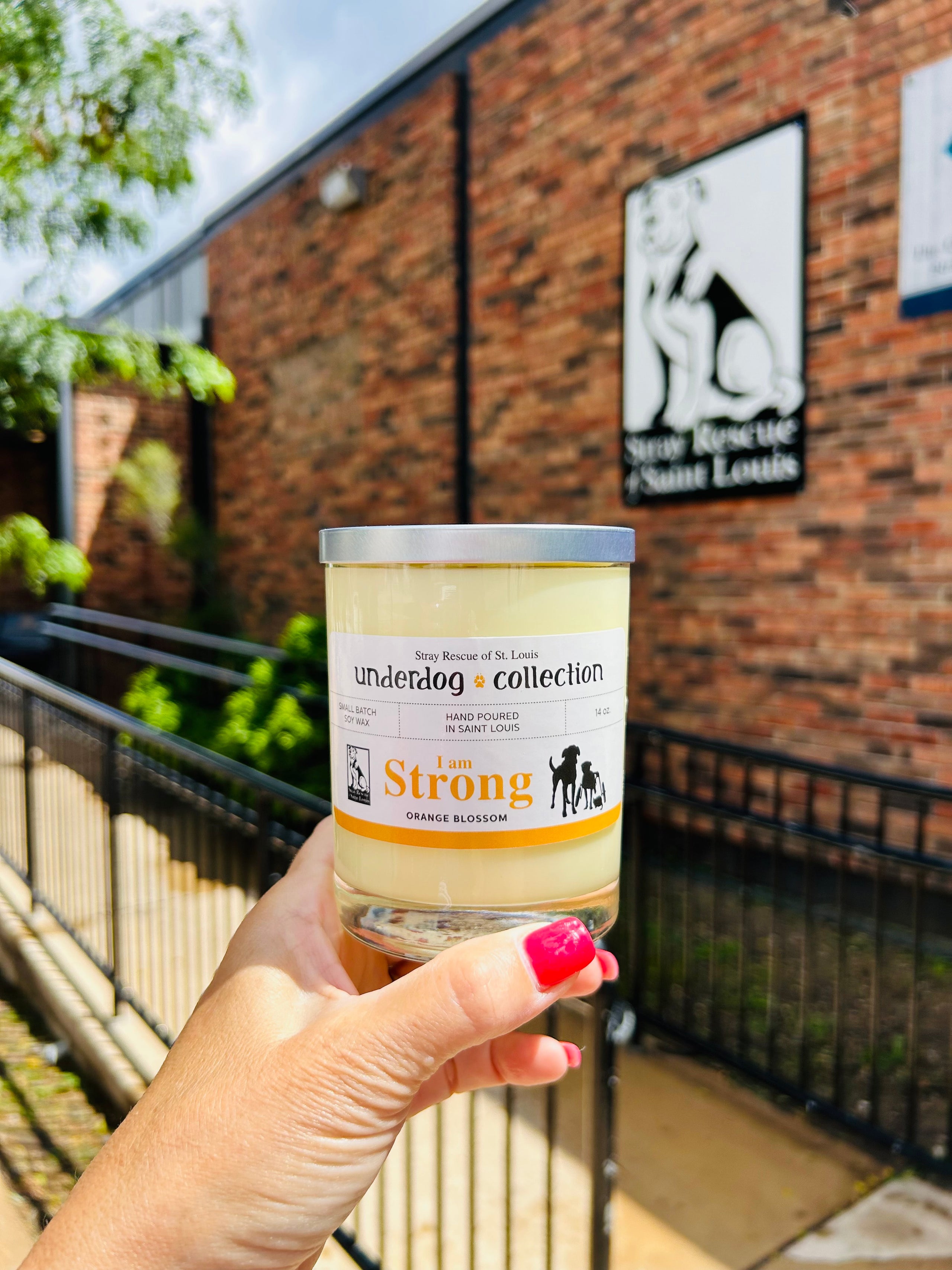 Stray Rescue Fundraiser I Am Strong Soy Candle Urban Candle Company LLC